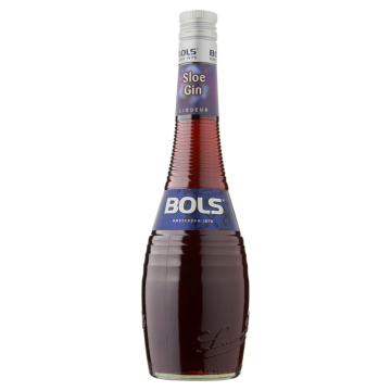 Bols Sloe Gin