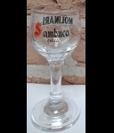 Molinari Sambuca Glas