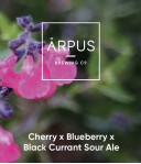 Arpus Brewing Co. Cherry x Blueberry x Blackcurrant Sour Ale