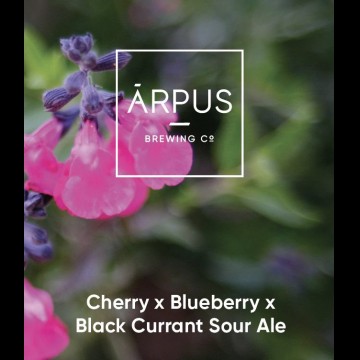 Arpus Brewing Co. Cherry x Blueberry x Blackcurrant Sour Ale