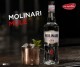 Molinari - Mule - mix - wk 23 -  uw topSlijter .jpg