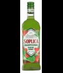 Soplica Egzotyczna Kaktus Arbuz