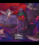 La Debauche Knotty Bird