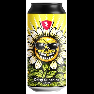 Rock City Daisy Sunshine