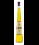 Galliano Vanilla